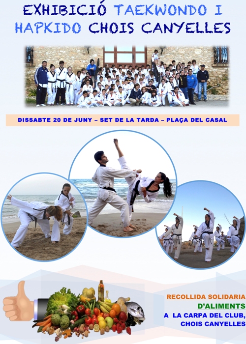 2015 06 20 ExhibicioTaekwondo