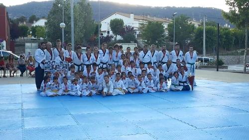2015 06 22 ExhibicioTaekwondo 01