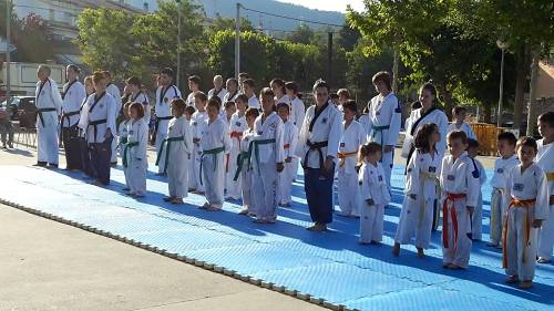 2015 06 22 ExhibicioTaekwondo 02