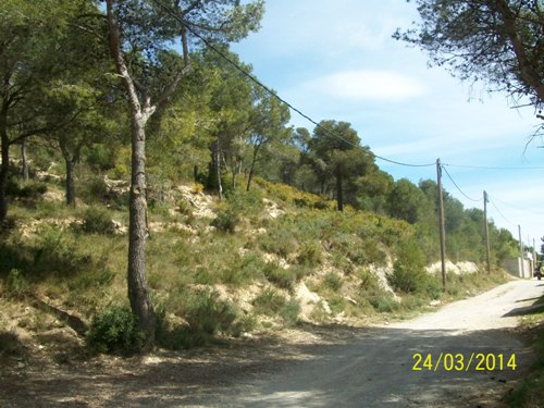 09-10-12-13 Andalusia 54-56-58-60 a