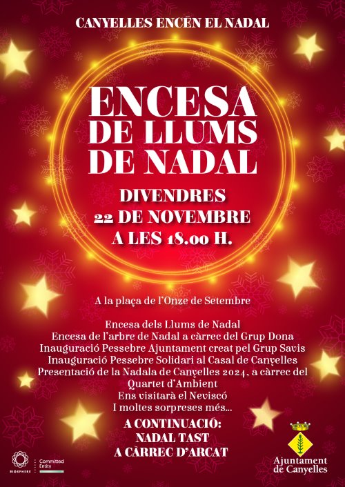 2024 11 22 encesallums cartell