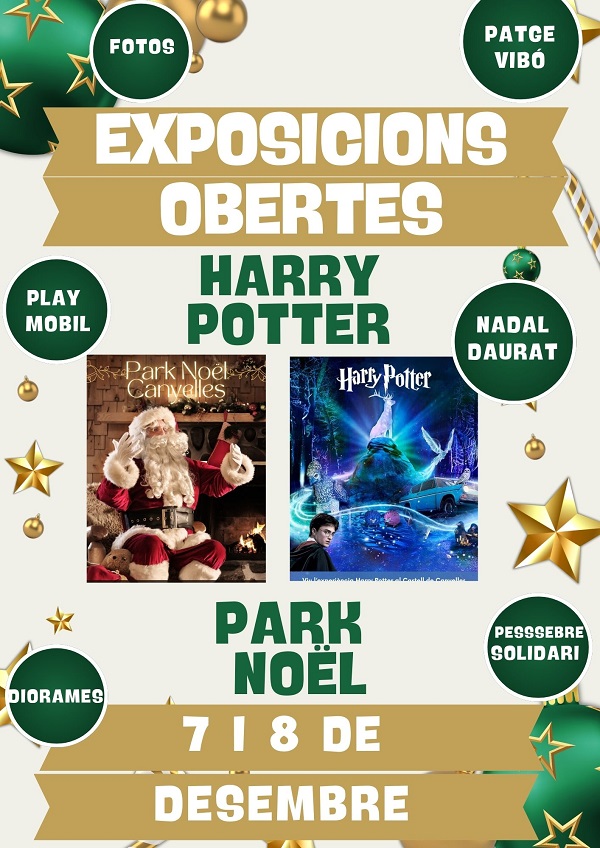2024 12 07 exposicions