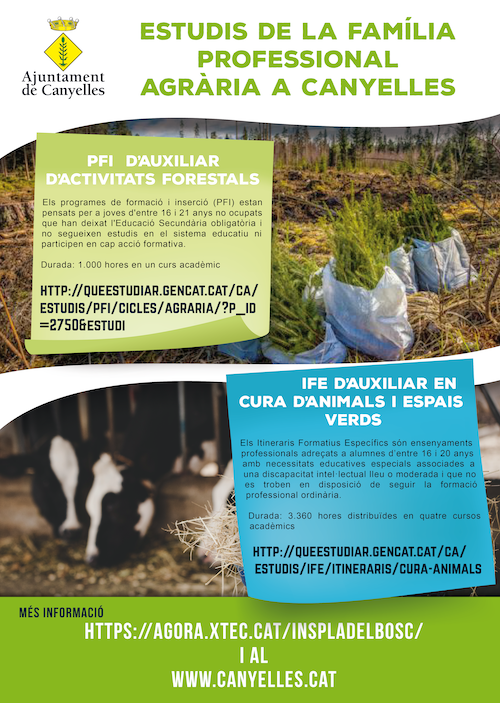 2020 06 pfi flyer copia