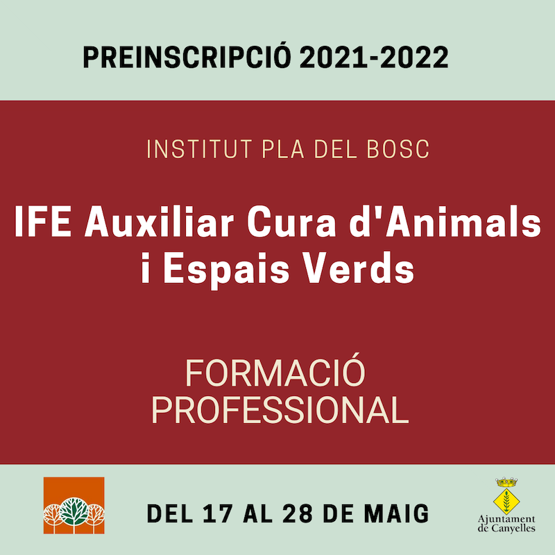 2021 05 24 preinscripcioIFE