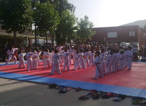 Fi de Curs Taekwondo