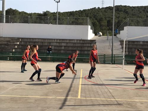 2017 05 04 Volei 02