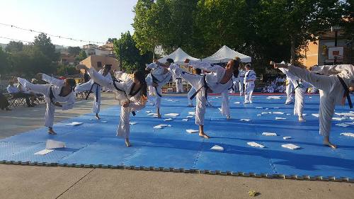 2017 06 19 Taekwondo 02