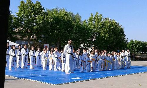 2017 06 19 Taekwondo 03