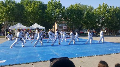 2017 06 19 Taekwondo 04