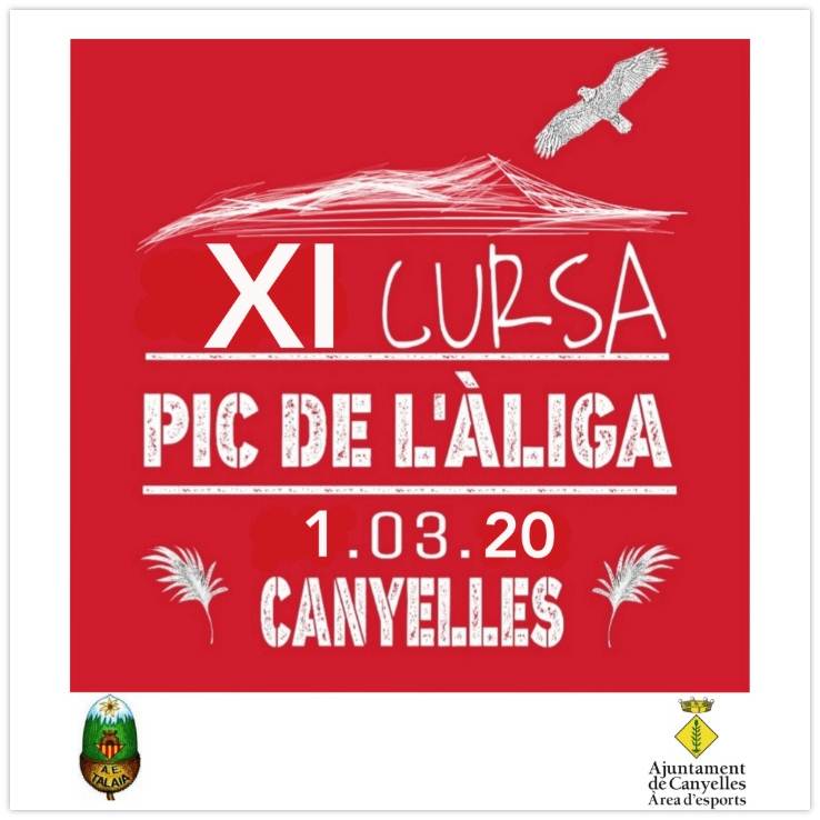 2020 02 03 cursapicaliga