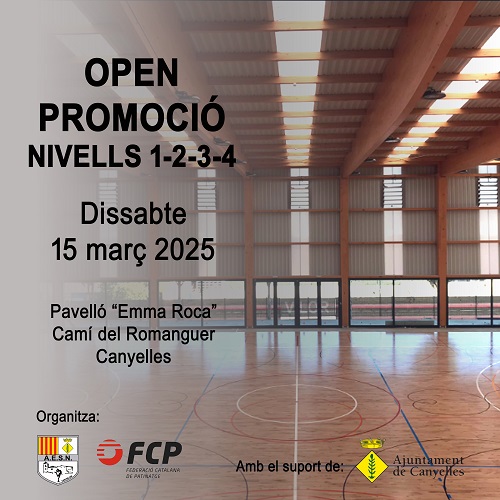 2025 03 15 openpatinatge