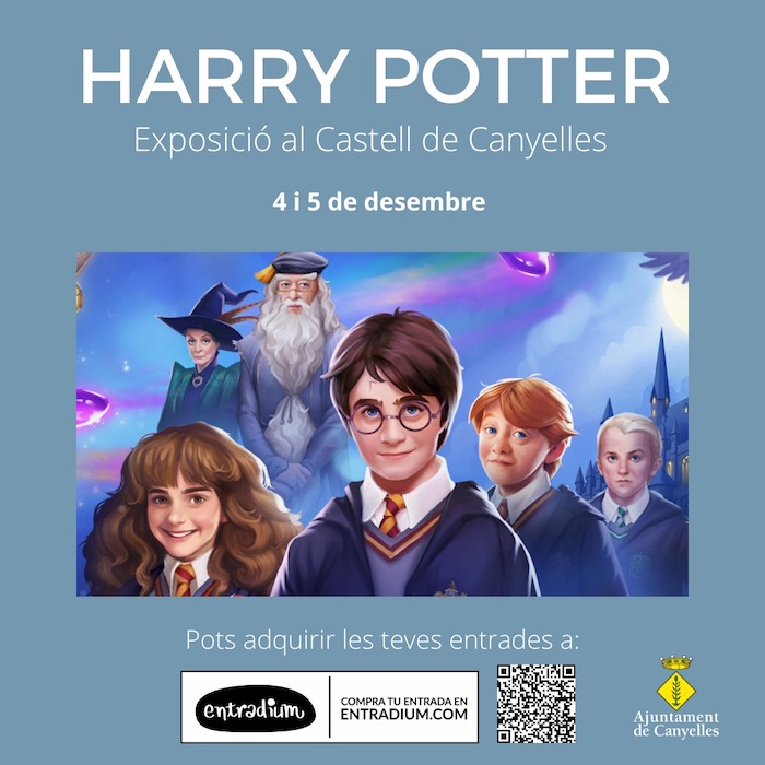 2021 11 18 Harrypottermes