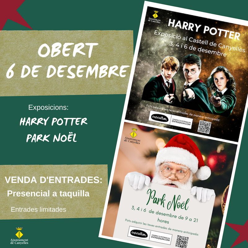 2022 12 06 HARRYPOTTERIPARCNOEL