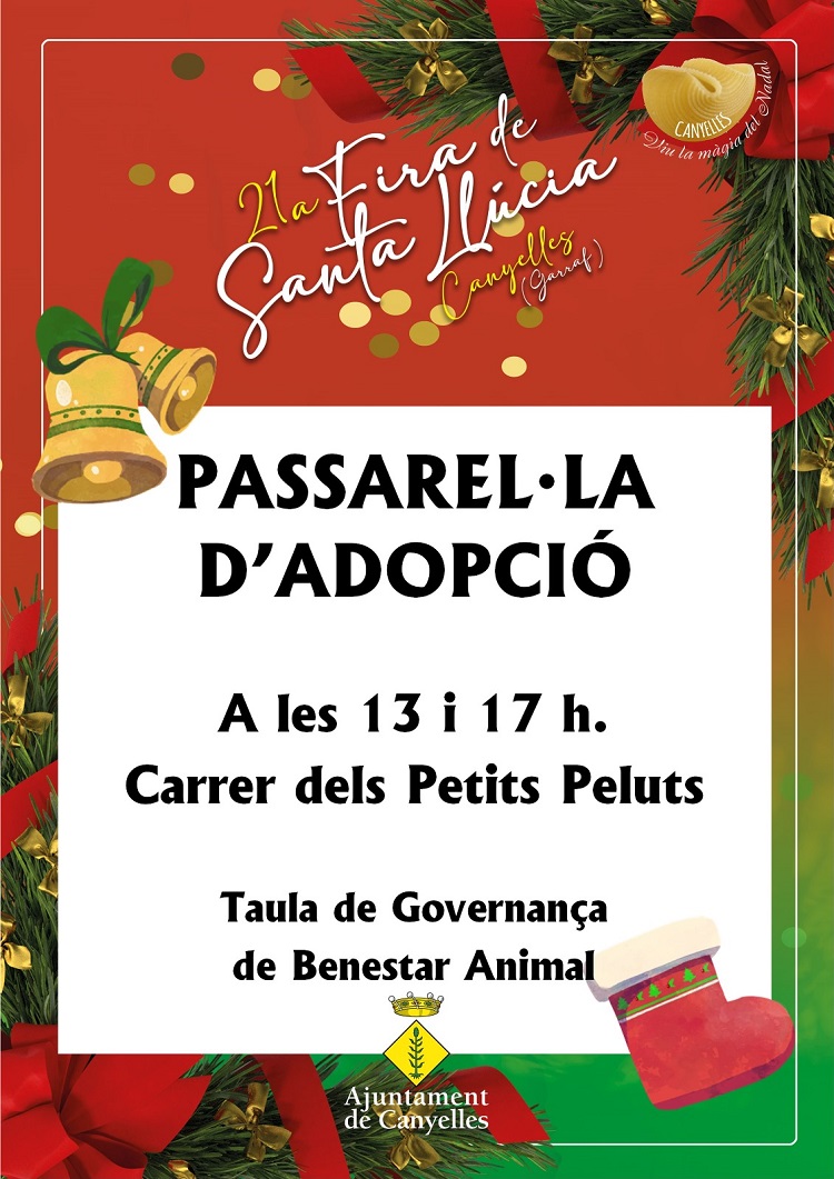 2023 2 passarella adopció animals copia