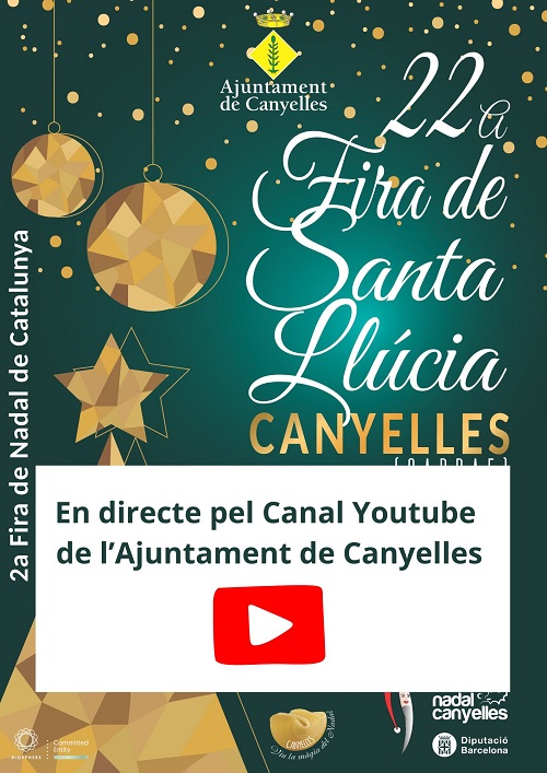 2024 11 30 youtube