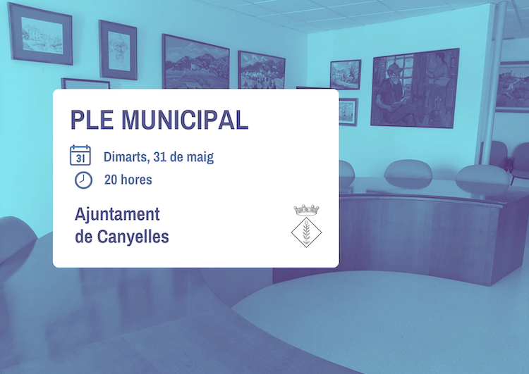 2022 05 31 plemunicipalok