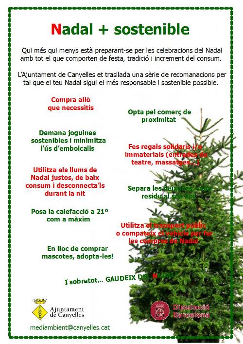 Consells per un Nadal sostenible