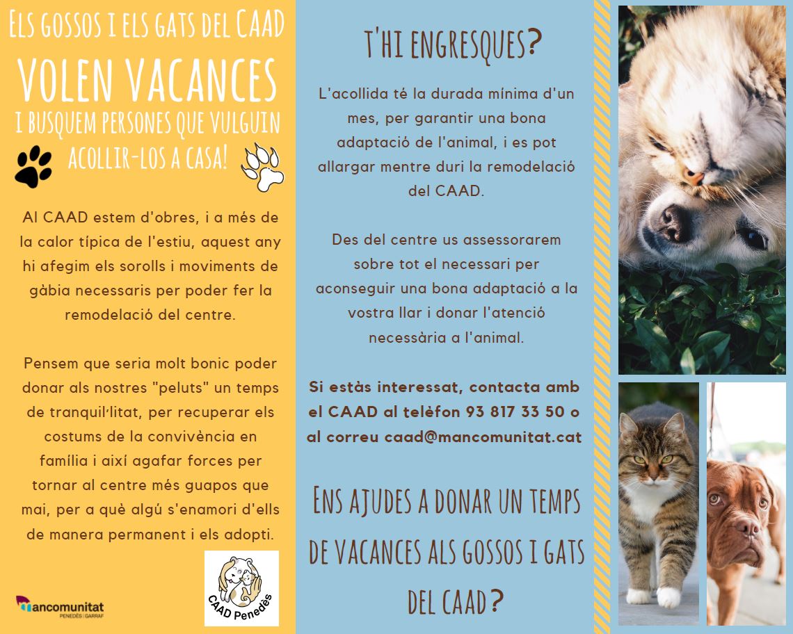 2018 06 06 caadvolenvacances