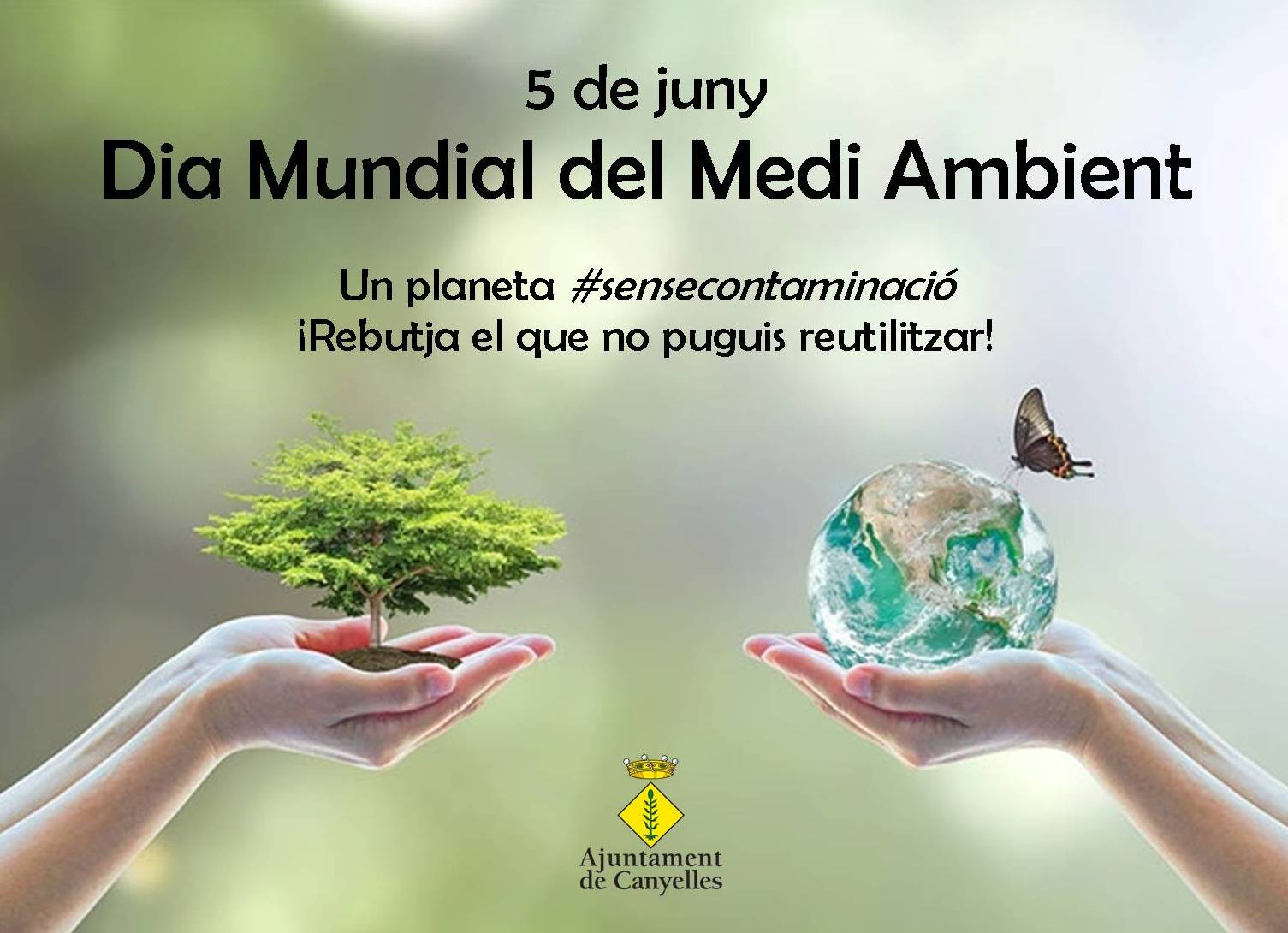 2019 05 06 diamundialmediambient