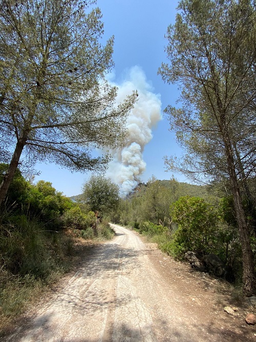 2022 06 18 incendiforestal01