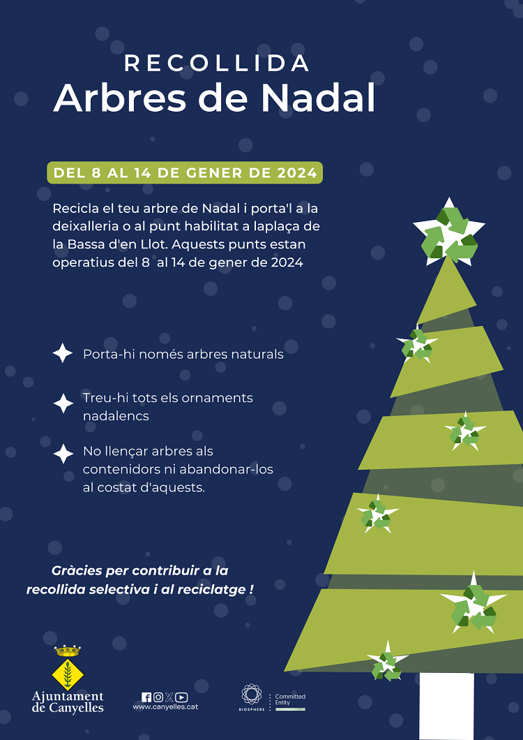 2024 01 recollidaarbresnadal copia