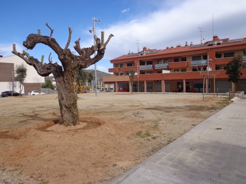 ArbratFcescMacia 02