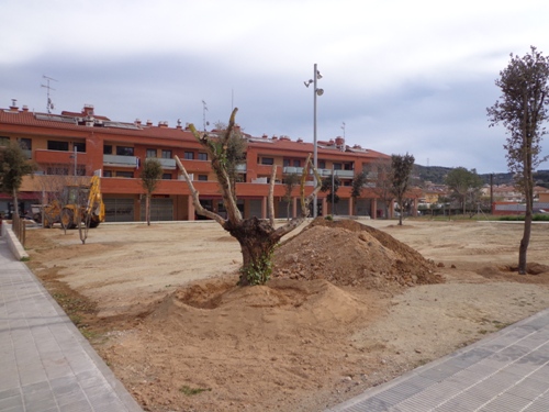 ArbratFcescMacia 03